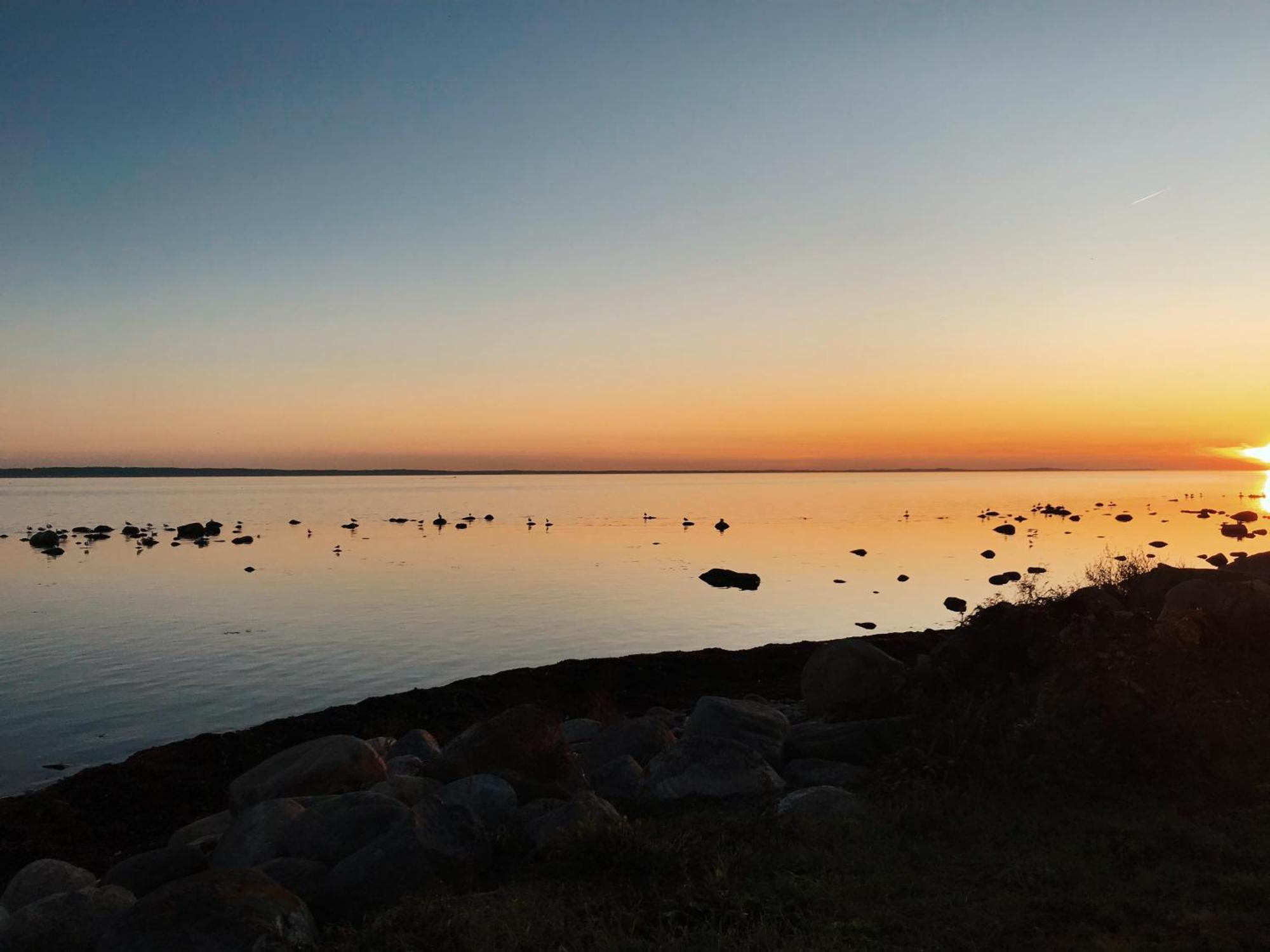 Beach Camp Höganäs Eksteriør bilde